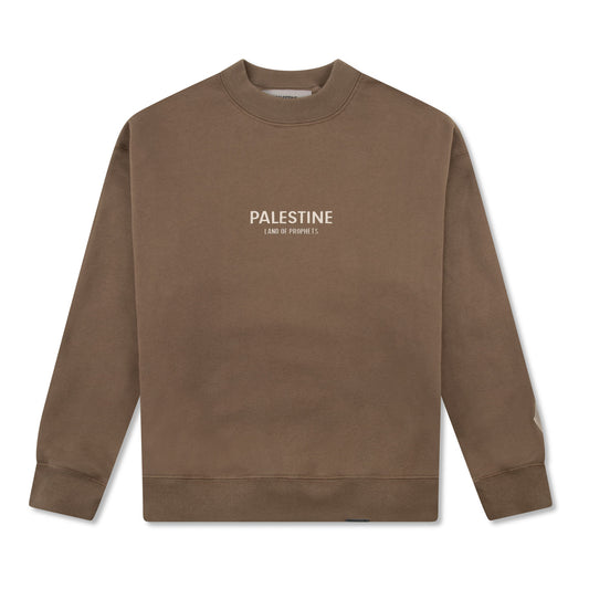 KIDS PALESTINE LAND OF PROPHETS METALLIC SWEATSHIRT AND JOGGER SET - Brown