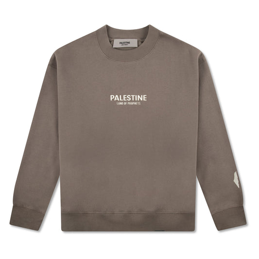 KIDS PALESTINE LAND OF PROPHETS METALLIC SWEATSHIRT AND JOGGER SET - Char coal
