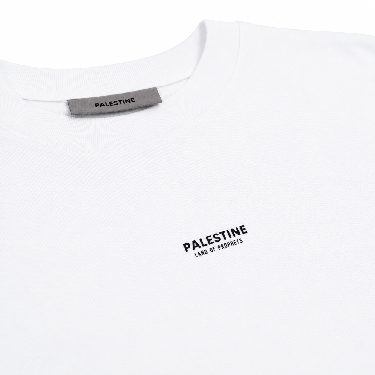 Mini-malist Palestine Land of Prophets Adult Tshirt - White