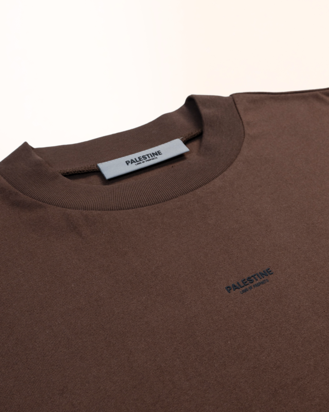 Mini-malist Palestine Land of Prophets Adult Tshirt - Brown