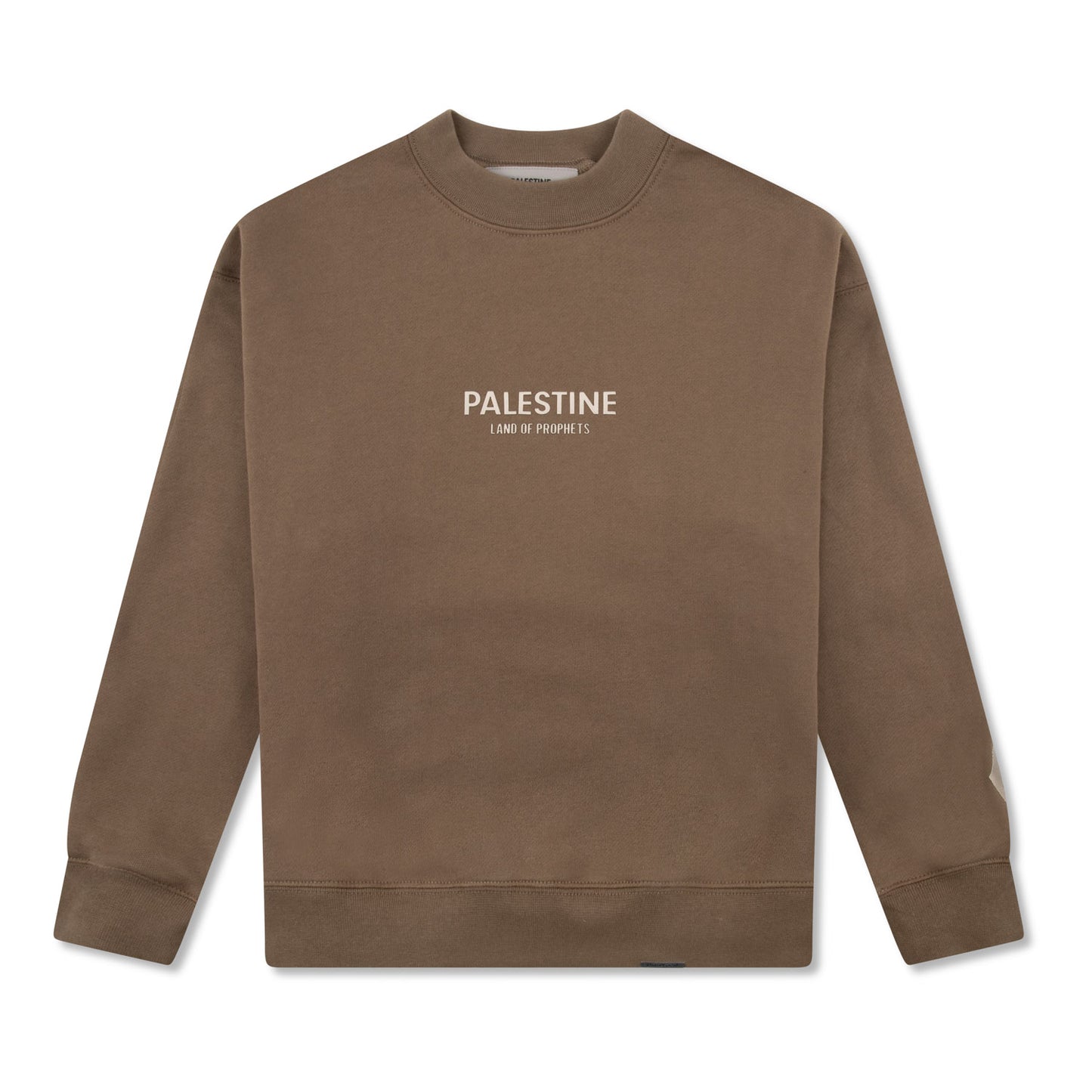 KIDS PALESTINE LAND OF PROPHETS METALLIC SWEATSHIRT AND JOGGER SET - Brown