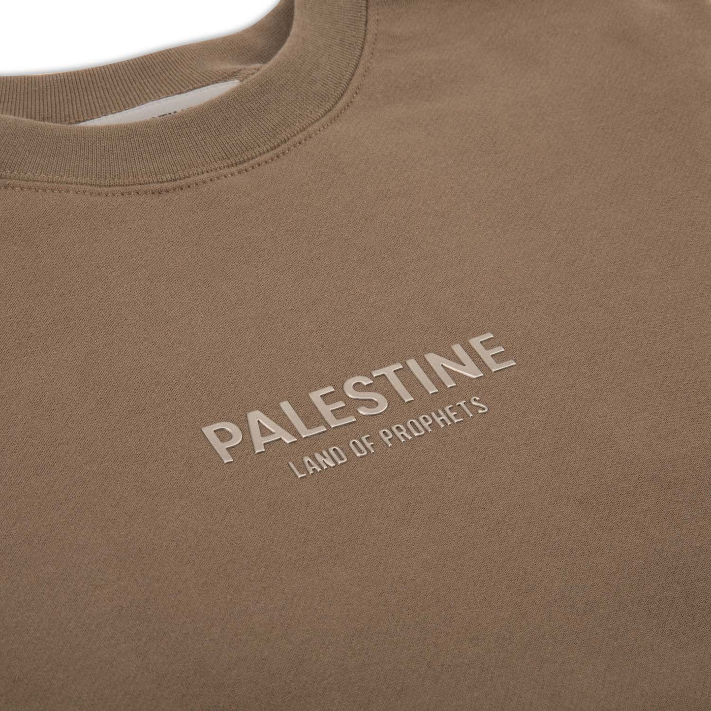 KIDS PALESTINE LAND OF PROPHETS METALLIC SWEATSHIRT AND JOGGER SET - Brown