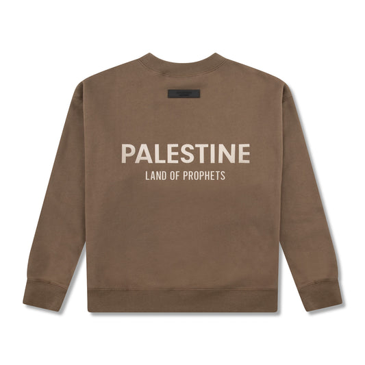 KIDS PALESTINE LAND OF PROPHETS METALLIC SWEATSHIRT AND JOGGER SET - Brown