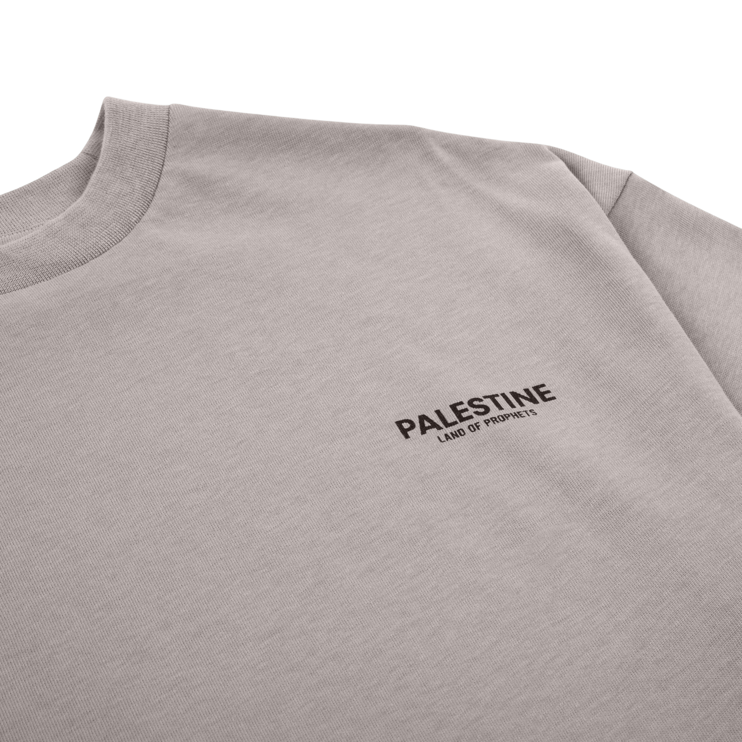 AL-AQSA V2 T-SHIRT - CLAY