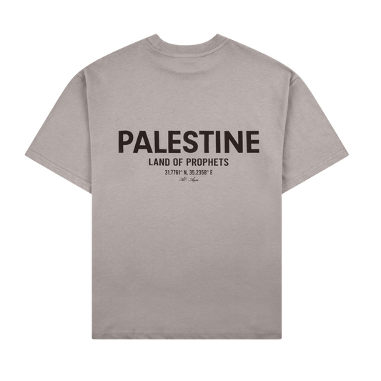 AL-AQSA V2 T-SHIRT - CLAY