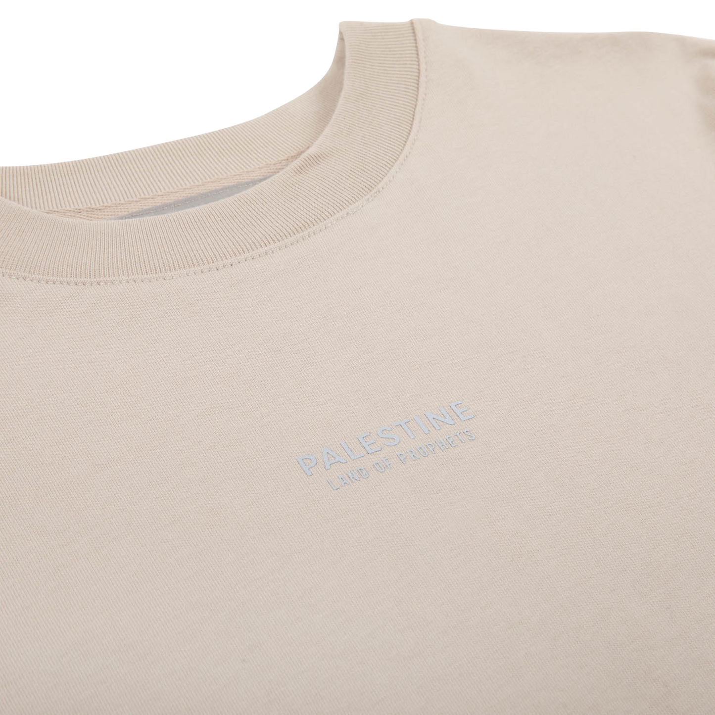 KIDS LAND OF PROPHETS T-SHIRT - SILVER CLOUD