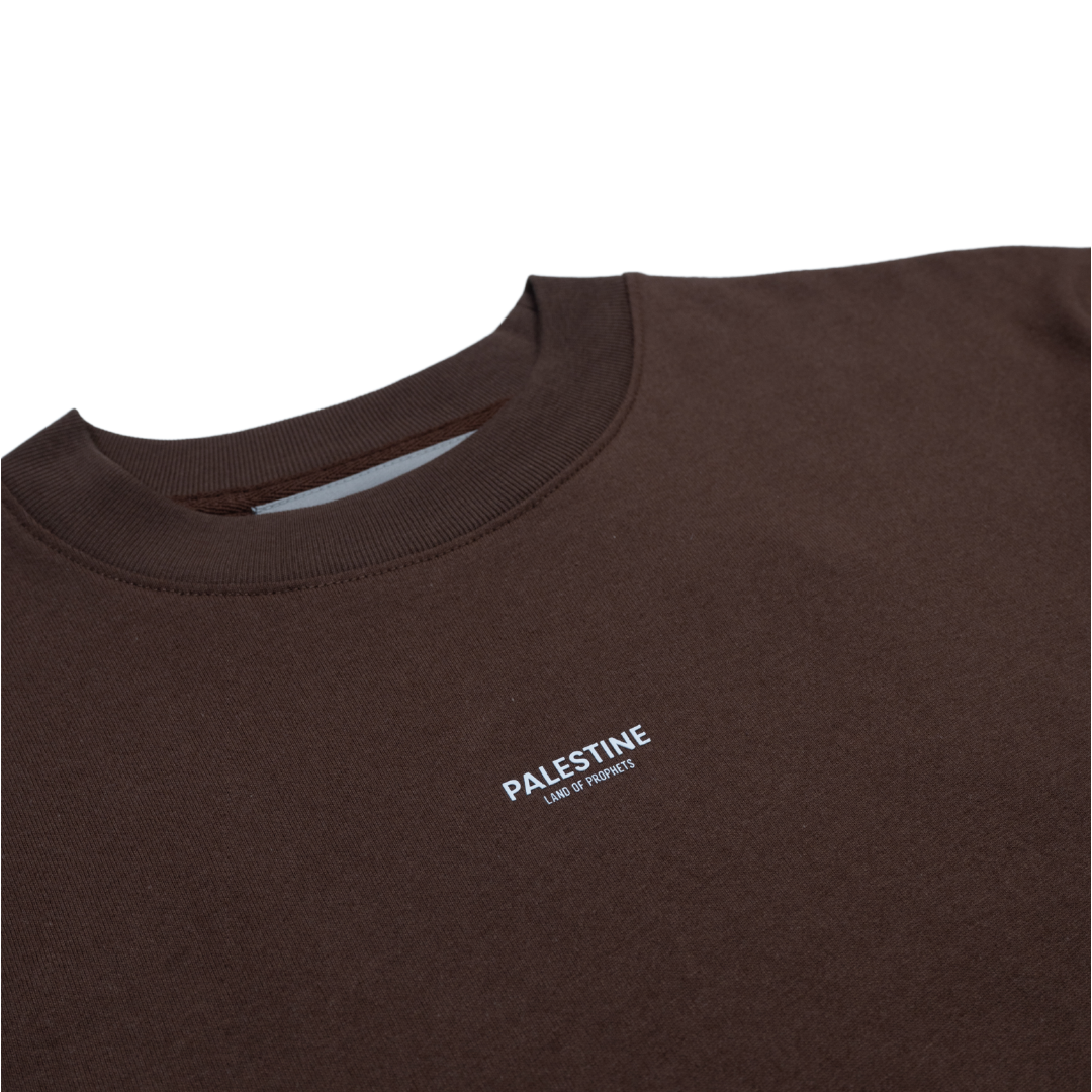 Mini-malist Palestine Land of Prophets Kids Tshirt - Brown