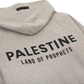 LAND OF PROPHETS HOODIE - HEATHER GREY